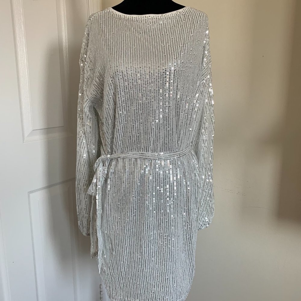 Silver Belted Sequins Dress - Picture 5 of 5